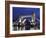 The Famous Tower Bridge over the River Thames in London-David Bank-Framed Photographic Print