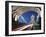 The Famous Tower Bridge over the River Thames in London-David Bank-Framed Photographic Print