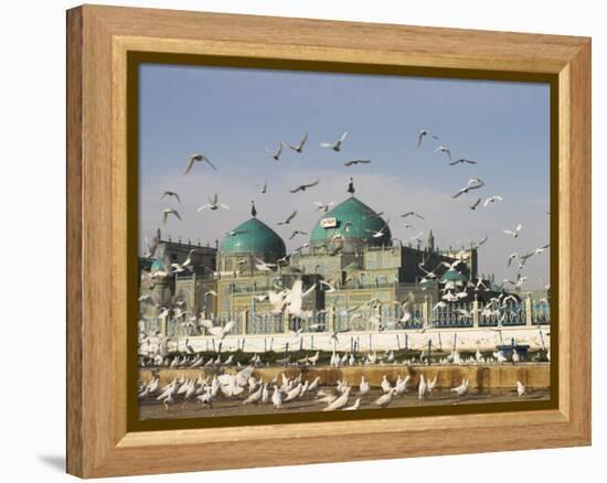 The Famous White Pigeons, Shrine of Hazrat Ali, Mazar-I-Sharif, Balkh Province, Afghanistan-Jane Sweeney-Framed Premier Image Canvas