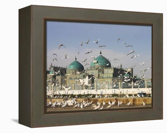 The Famous White Pigeons, Shrine of Hazrat Ali, Mazar-I-Sharif, Balkh Province, Afghanistan-Jane Sweeney-Framed Premier Image Canvas