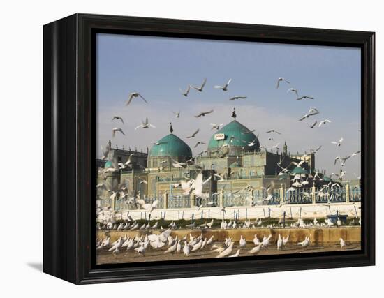 The Famous White Pigeons, Shrine of Hazrat Ali, Mazar-I-Sharif, Balkh Province, Afghanistan-Jane Sweeney-Framed Premier Image Canvas