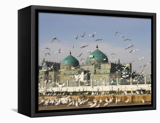 The Famous White Pigeons, Shrine of Hazrat Ali, Mazar-I-Sharif, Balkh Province, Afghanistan-Jane Sweeney-Framed Premier Image Canvas