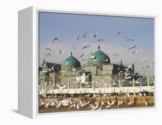The Famous White Pigeons, Shrine of Hazrat Ali, Mazar-I-Sharif, Balkh Province, Afghanistan-Jane Sweeney-Framed Premier Image Canvas