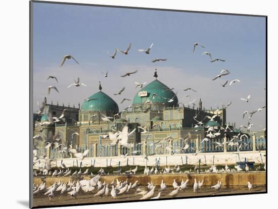 The Famous White Pigeons, Shrine of Hazrat Ali, Mazar-I-Sharif, Balkh Province, Afghanistan-Jane Sweeney-Mounted Photographic Print