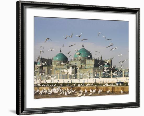 The Famous White Pigeons, Shrine of Hazrat Ali, Mazar-I-Sharif, Balkh Province, Afghanistan-Jane Sweeney-Framed Photographic Print