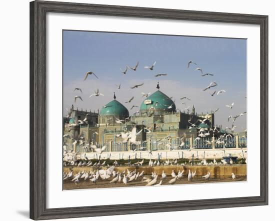 The Famous White Pigeons, Shrine of Hazrat Ali, Mazar-I-Sharif, Balkh Province, Afghanistan-Jane Sweeney-Framed Photographic Print