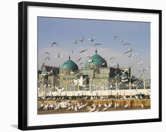 The Famous White Pigeons, Shrine of Hazrat Ali, Mazar-I-Sharif, Balkh Province, Afghanistan-Jane Sweeney-Framed Photographic Print