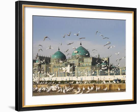 The Famous White Pigeons, Shrine of Hazrat Ali, Mazar-I-Sharif, Balkh Province, Afghanistan-Jane Sweeney-Framed Photographic Print