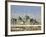 The Famous White Pigeons, Shrine of Hazrat Ali, Mazar-I-Sharif, Balkh Province, Afghanistan-Jane Sweeney-Framed Photographic Print