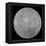 The Far Side of the Moon-Stocktrek Images-Framed Premier Image Canvas