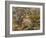 The Farm at Les Collettes, Cagnes, 1908-14-Pierre-Auguste Renoir-Framed Giclee Print