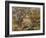 The Farm at Les Collettes, Cagnes, 1908-14-Pierre-Auguste Renoir-Framed Giclee Print