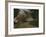 The Farm at the Entrance of the Wood-Rosa Bonheur-Framed Premium Giclee Print