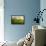The Farm-Marcin Sobas-Framed Premier Image Canvas displayed on a wall