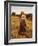 The Farmer's Daughter-John Everett Millais-Framed Giclee Print