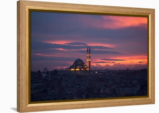 The Fatih Mosque at Sunset-Alex Saberi-Framed Premier Image Canvas