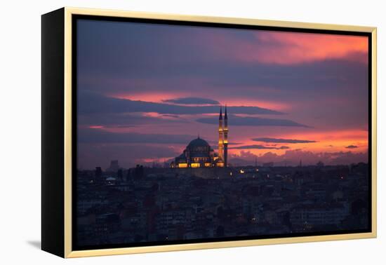 The Fatih Mosque at Sunset-Alex Saberi-Framed Premier Image Canvas