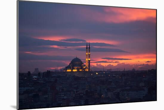 The Fatih Mosque at Sunset-Alex Saberi-Mounted Photographic Print