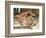 The Favourite Poet, 1888-Sir Lawrence Alma-Tadema-Framed Giclee Print