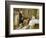 The Favourite-George Goodwin Kilburne-Framed Giclee Print