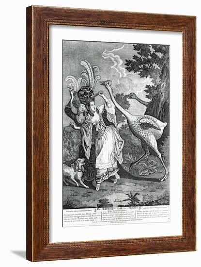 The Feathered Friend in a Fright, 1779-John Collet-Framed Giclee Print