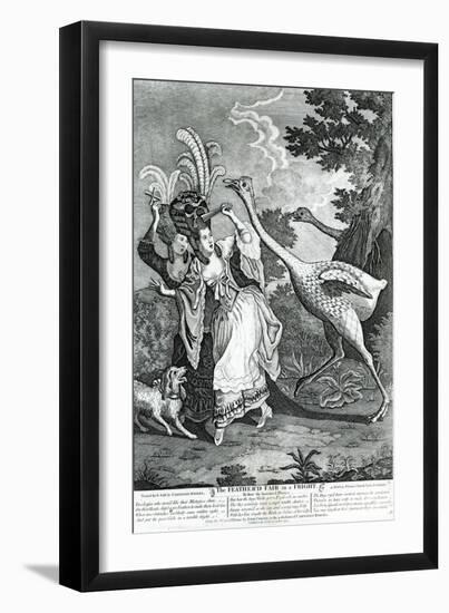 The Feathered Friend in a Fright, 1779-John Collet-Framed Giclee Print