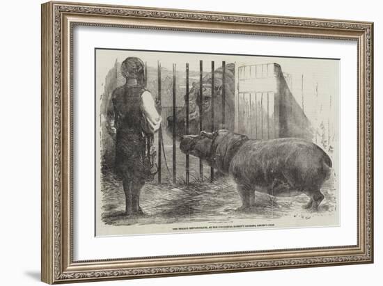 The Female Hippopotamus, at the Zoological Society's Garden, Regent'S-Park-Harrison William Weir-Framed Giclee Print