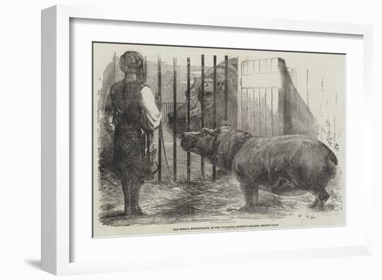 The Female Hippopotamus, at the Zoological Society's Garden, Regent'S-Park-Harrison William Weir-Framed Giclee Print