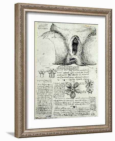 The Female Sexual Organs, Facsimile Copy-Leonardo da Vinci-Framed Giclee Print