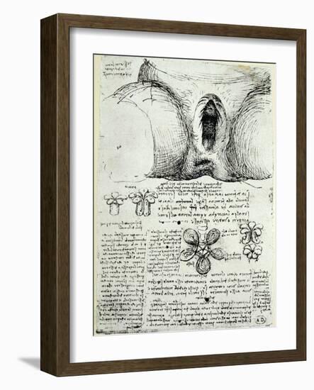 The Female Sexual Organs, Facsimile Copy-Leonardo da Vinci-Framed Giclee Print