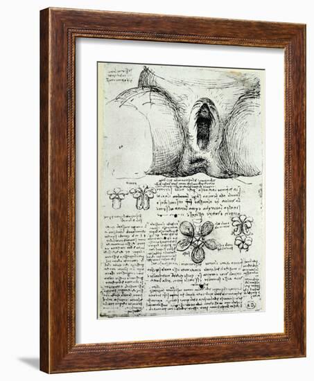 The Female Sexual Organs, Facsimile Copy-Leonardo da Vinci-Framed Giclee Print