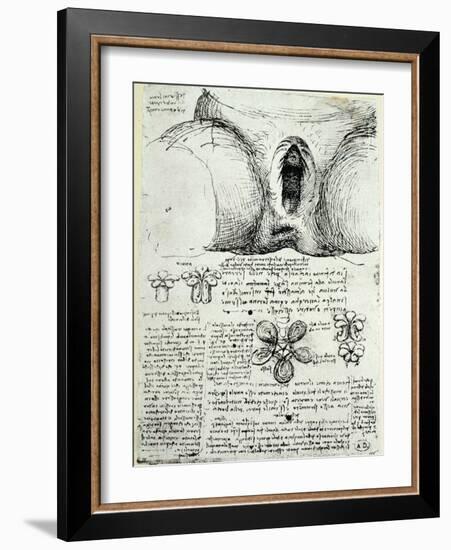 The Female Sexual Organs, Facsimile Copy-Leonardo da Vinci-Framed Giclee Print