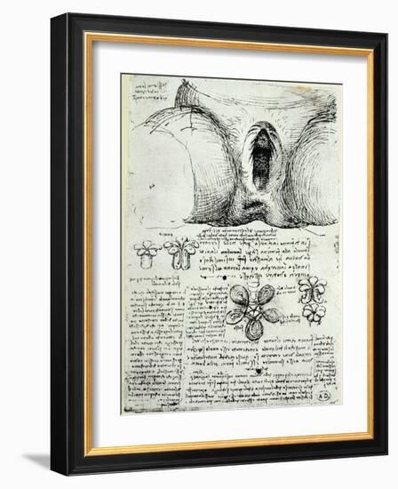 The Female Sexual Organs, Facsimile Copy-Leonardo da Vinci-Framed Giclee Print