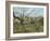 The Fence, 1872-Camille Pissarro-Framed Giclee Print