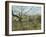 The Fence, 1872-Camille Pissarro-Framed Giclee Print