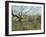 The Fence, 1872-Camille Pissarro-Framed Giclee Print