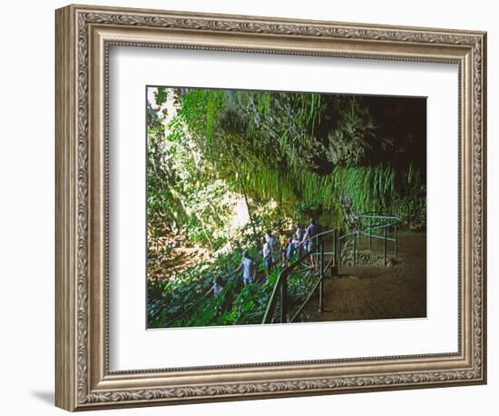 The Fern Grotto, Kauai, Hawaii, USA-Charles Sleicher-Framed Photographic Print