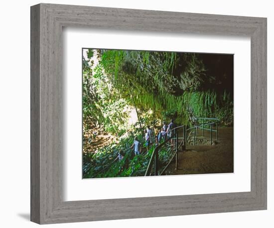 The Fern Grotto, Kauai, Hawaii, USA-Charles Sleicher-Framed Photographic Print