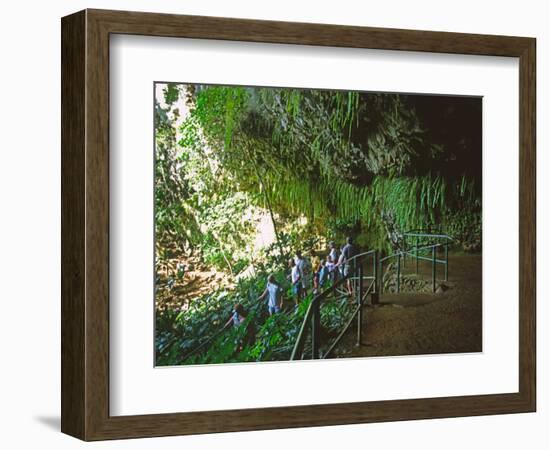 The Fern Grotto, Kauai, Hawaii, USA-Charles Sleicher-Framed Photographic Print