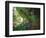 The Fern Grotto, Kauai, Hawaii, USA-Charles Sleicher-Framed Photographic Print