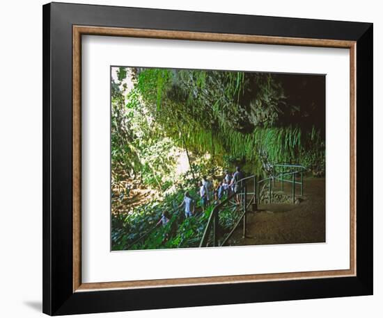 The Fern Grotto, Kauai, Hawaii, USA-Charles Sleicher-Framed Photographic Print