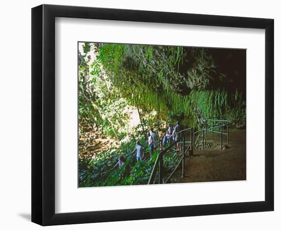 The Fern Grotto, Kauai, Hawaii, USA-Charles Sleicher-Framed Photographic Print