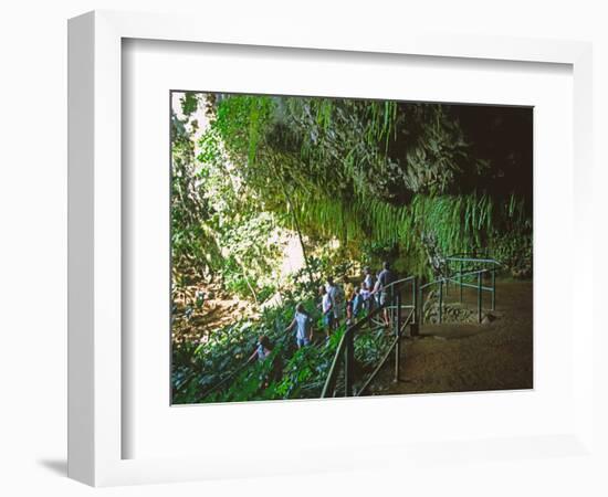 The Fern Grotto, Kauai, Hawaii, USA-Charles Sleicher-Framed Photographic Print