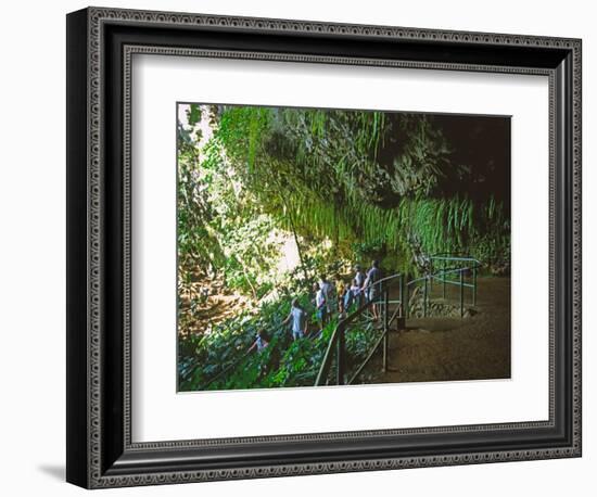 The Fern Grotto, Kauai, Hawaii, USA-Charles Sleicher-Framed Photographic Print