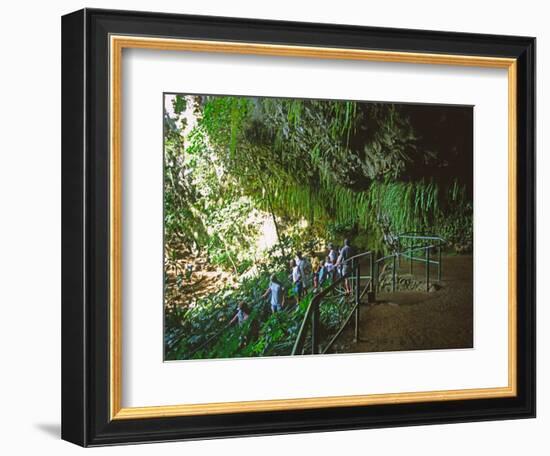 The Fern Grotto, Kauai, Hawaii, USA-Charles Sleicher-Framed Photographic Print