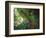 The Fern Grotto, Kauai, Hawaii, USA-Charles Sleicher-Framed Photographic Print