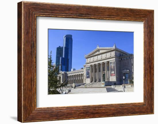 The Field Museum, Chicago, Illinois, United States of America, North America-Amanda Hall-Framed Photographic Print