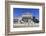 The Field Museum, Chicago, Illinois, United States of America, North America-Amanda Hall-Framed Photographic Print