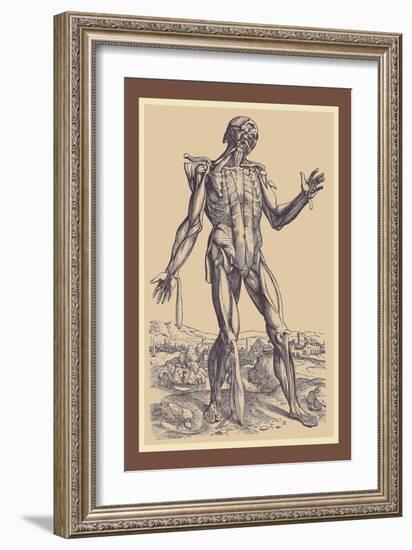 The Fifth Plate of the Muscles-Andreas Vesalius-Framed Art Print