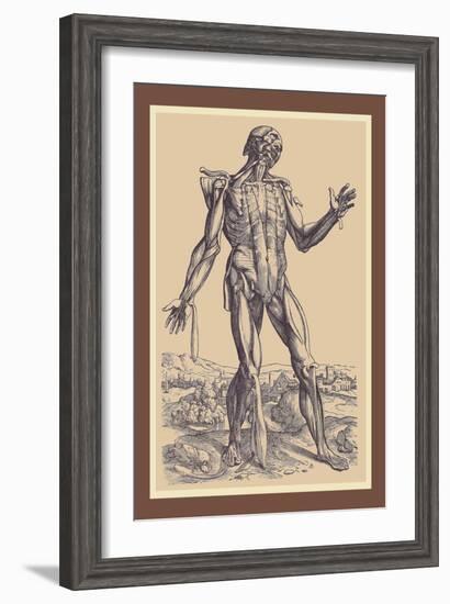 The Fifth Plate of the Muscles-Andreas Vesalius-Framed Art Print